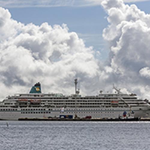 Amadea