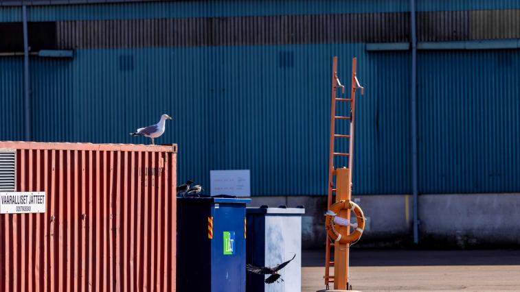 Jätepiste satamassa